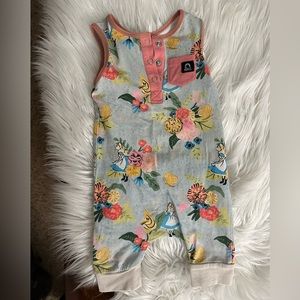 Rags to Raches Alice in Wonderland